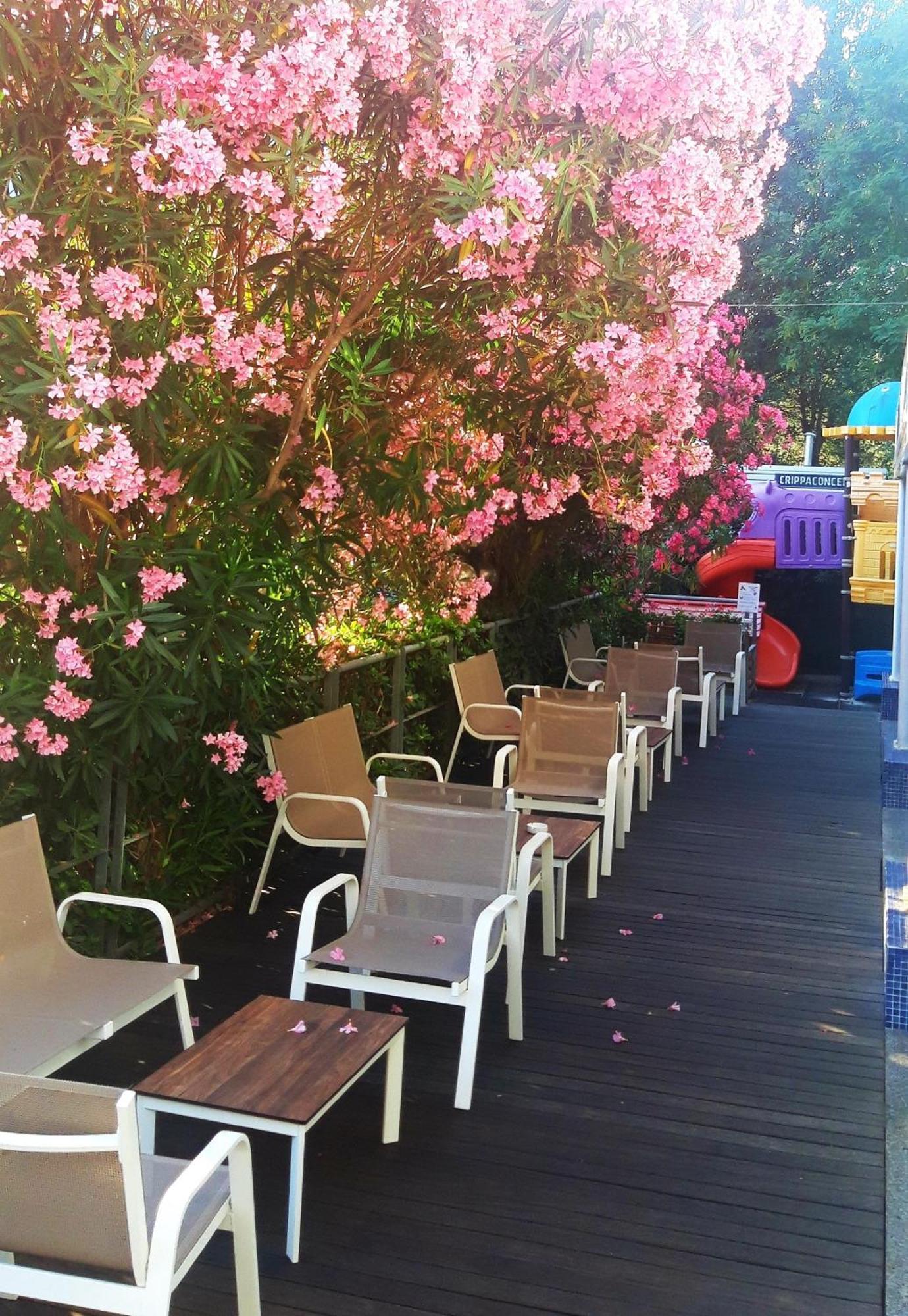 Hotel Felix Rimini Dış mekan fotoğraf